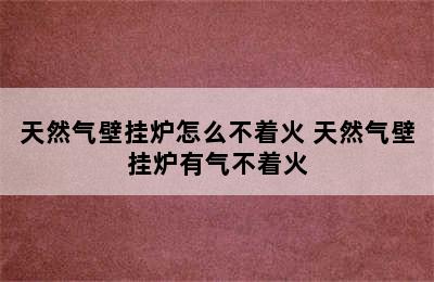 天然气壁挂炉怎么不着火 天然气壁挂炉有气不着火